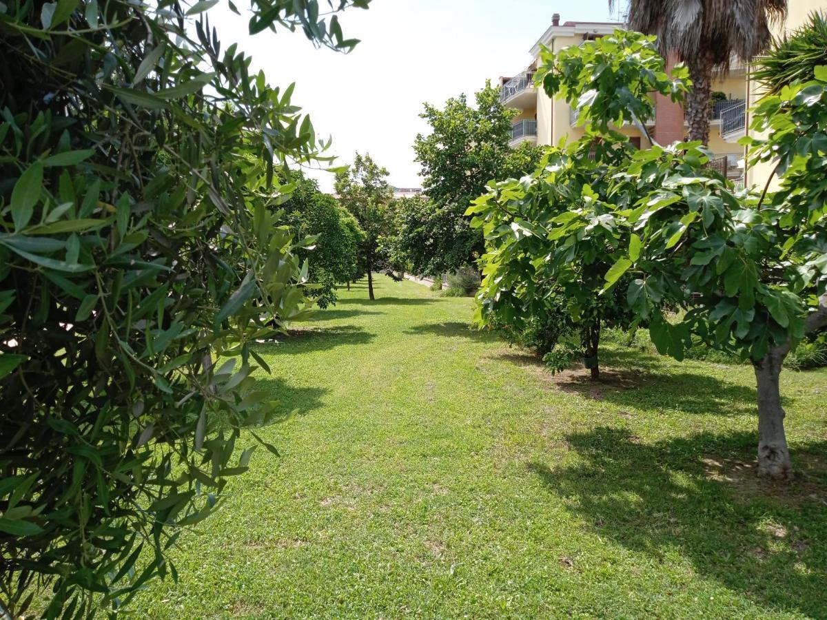 Casa Giardino Apartment San Benedetto del Tronto Exterior photo