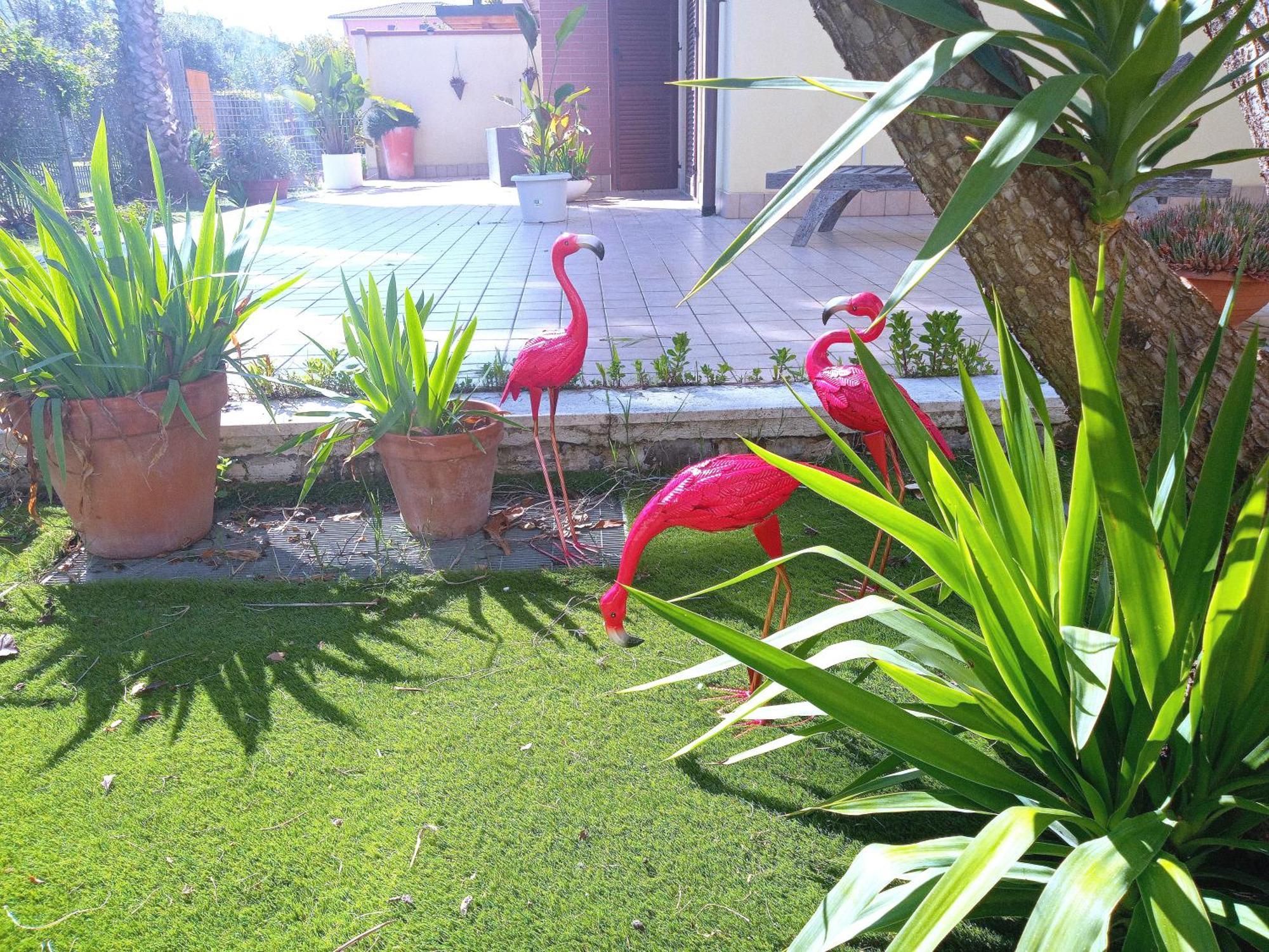 Casa Giardino Apartment San Benedetto del Tronto Exterior photo